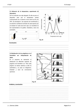 4º ESO IV) Ecología
2) Influencia de la temperatura, experimento de
laboratorio.
Se ha construido una caja alargada. En ella se puso un
dispositivo para que la temperatura variase
continuamente de un extremo al otro entre los 28 y los
40ºC. Se introdujeron dos especies de invertebrados y
se estudió la cantidad de animales de cada especie que
se situaban en cada zona de la caja. Los resultados se
han representado en la gráfica. Analízalos y saca una
conclusión.
Fig. 24
Conclusión:
.....................................................................................................................................................................................
.....................................................................................................................................................................................
.....................................................................................................................................................................................
3) Distribución de los pingüinos en el
hemisferio sur: Interpretación de
datos.
En el esquema se representa la
distribución de diferentes especies de
pingüinos del hemisferio sur. Para cada
pingüino se indican además su talla en
centímetros y su peso en kilogramos.
Analízalo y saca las conclusiones
oportunas
Fig. 25
Análisis y conclusión:
.....................................................................................................................................................................................
.....................................................................................................................................................................................
.....................................................................................................................................................................................
.....................................................................................................................................................................................
.....................................................................................................................................................................................
.....................................................................................................................................................................................
.....................................................................................................................................................................................
J. L. Sánchez Guillén Página IV-13
40ºC 36ºC 28ºC
Cantidaddeanimales
Temperatura de la caja
A B
Cantidaddeanimales
Temperatura de la caja
A B
114cm 30kg
95cm
15kg
5kg
71cm
4,5kg
2kg
65cm
53cm
80
60
40
20
2
3
4
5
1
 