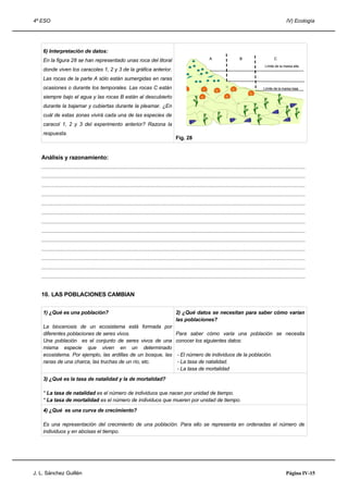 4º ESO IV) Ecología
6) Interpretación de datos:
En la figura 28 se han representado unas roca del litoral
donde viven los caracoles 1, 2 y 3 de la gráfica anterior.
Las rocas de la parte A sólo están sumergidas en raras
ocasiones o durante los temporales. Las rocas C están
siempre bajo el agua y las rocas B están al descubierto
durante la bajamar y cubiertas durante la pleamar. ¿En
cuál de estas zonas vivirá cada una de las especies de
caracol 1, 2 y 3 del experimento anterior? Razona la
respuesta.
Fig. 28
Análisis y razonamiento:
.....................................................................................................................................................................................
.....................................................................................................................................................................................
.....................................................................................................................................................................................
.....................................................................................................................................................................................
.....................................................................................................................................................................................
.....................................................................................................................................................................................
.....................................................................................................................................................................................
.....................................................................................................................................................................................
.....................................................................................................................................................................................
.....................................................................................................................................................................................
.....................................................................................................................................................................................
.....................................................................................................................................................................................
.....................................................................................................................................................................................
10. LAS POBLACIONES CAMBIAN
1) ¿Qué es una población?
La biocenosis de un ecosistema está formada por
diferentes poblaciones de seres vivos.
Una población es el conjunto de seres vivos de una
misma especie que viven en un determinado
ecosistema. Por ejemplo, las ardillas de un bosque, las
ranas de una charca, las truchas de un río, etc.
2) ¿Qué datos se necesitan para saber cómo varían
las poblaciones?
Para saber cómo varia una población se necesita
conocer los siguientes datos:
- El número de individuos de la población.
- La tasa de natalidad.
- La tasa de mortalidad
3) ¿Qué es la tasa de natalidad y la de mortalidad?
* La tasa de natalidad es el número de individuos que nacen por unidad de tiempo.
* La tasa de mortalidad es el número de individuos que mueren por unidad de tiempo.
4) ¿Qué es una curva de crecimiento?
Es una representación del crecimiento de una población. Para ello se representa en ordenadas el número de
individuos y en abcisas el tiempo.
J. L. Sánchez Guillén Página IV-15
Límite de la marea alta
Límite de la marea baja
A B C
Límite de la marea alta
Límite de la marea baja
A B C
 