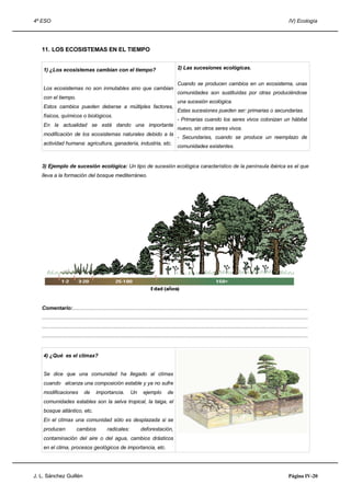 4º ESO IV) Ecología
11. LOS ECOSISTEMAS EN EL TIEMPO
1) ¿Los ecosistemas cambian con el tiempo?
Los ecosistemas no son inmutables sino que cambian
con el tiempo.
Estos cambios pueden deberse a múltiples factores,
físicos, químicos o biológicos.
En la actualidad se está dando una importante
modificación de los ecosistemas naturales debido a la
actividad humana: agricultura, ganadería, industria, etc.
2) Las sucesiones ecológicas.
Cuando se producen cambios en un ecosistema, unas
comunidades son sustituídas por otras produciéndose
una sucesión ecológica.
Estas sucesiones pueden ser: primarias o secundarias.
- Primarias cuando los seres vivos colonizan un hábitat
nuevo, sin otros seres vivos.
- Secundarias, cuando se produce un reemplazo de
comunidades existentes.
3) Ejemplo de sucesión ecológica: Un tipo de sucesión ecológica característico de la península ibérica es el que
lleva a la formación del bosque mediterráneo.
Comentario:................................................................................................................................................................
.....................................................................................................................................................................................
.....................................................................................................................................................................................
.....................................................................................................................................................................................
4) ¿Qué es el clímax?
Se dice que una comunidad ha llegado al clímax
cuando alcanza una composición estable y ya no sufre
modificaciones de importancia. Un ejemplo de
comunidades estables son la selva tropical, la taiga, el
bosque atlántico, etc.
En el clímax una comunidad sólo es desplazada si se
producen cambios radicales: deforestación,
contaminación del aire o del agua, cambios drásticos
en el clima, procesos geológicos de importancia, etc.
J. L. Sánchez Guillén Página IV-20
 