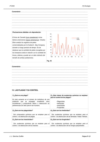 4º ESO IV) Ecología
Comentario:................................................................................................................................................................
.....................................................................................................................................................................................
.....................................................................................................................................................................................
.....................................................................................................................................................................................
.....................................................................................................................................................................................
.....................................................................................................................................................................................
.....................................................................................................................................................................................
Fluctuaciones debidas a la depredación:
El lince de Canadá (Lynx canadensis) come
liebres americanas (Lepus americanus). Charles
Elton analizó los registros de pieles
comercializadas por la Hudson's Bay Company
durante un largo periodo de tiempo. Es de
destacar que la cantidad de pieles recogidas por
los tramperos está en relación con la cantidad de
linces y liebres y puede ser un dato indirecto del
tamaño de ambas poblaciones.
Fig. 43
Comentario:................................................................................................................................................................
.....................................................................................................................................................................................
.....................................................................................................................................................................................
.....................................................................................................................................................................................
.....................................................................................................................................................................................
.....................................................................................................................................................................................
.....................................................................................................................................................................................
.....................................................................................................................................................................................
13. LAS PLAGAS Y SU CONTROL
1) ¿Qué es una plaga?
Es todo aumento en el número de individuos de una
población que se propagan invadiendo otros
ecosistemas y produciendo daños o destrucción en
pertenencias de valor para el ser humano.
2) ¿Qué clases de sustancias químicas se emplean
para el control de las plagas?
-Plaguicidas.
-Herbicidas.
-Insecticidas
-Fungicidas.
3) ¿Qué son los plaguicidas?
Son compuestos químicos que se emplean para el
control o la destrucción de plagas.
4) ¿Qué son los herbicidas?
Son sustancias químicas que se emplean para el
control o la destrucción de las llamadas “malas” hierbas.
5) ¿Qué son los insecticidas?
Son sustancias químicas que se emplean para el
control o la destrucción de los insectos
6) ¿Qué son los fungicidas?
Son sustancias químicas que se emplean para el
control o la destrucción de los hongos perjudiciales.
J. L. Sánchez Guillén Página IV-23
1845 55 65 75 85 95 1905 15 25 35
160
140
120
100
80
60
40
20
0
Lince
Liebre
 