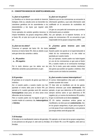 4º ESO                                                                                               II) Genética


   31. CONCEPTOS BÁSICOS DE GENÉTICA MENDELIANA


    1) ¿Qué es la genética?                             2) ¿Qué son los genes?
    La Genética es la ciencia que estudia la herencia Sabemos que en los cromosomas se encuentra la
    biológica. Esto es, estudia como se transmiten los información genética y que esta información está
    caracteres genéticos de los ascendientes a los codificada en la secuencia de nucleótidos del
    descendientes y las leyes que regulan esta ADN.
    transmisión.                                        Un gen es una parte del cromosoma que contiene
    Como ejemplos de carácter genético tenemos: la información para un carácter.
    miopía hereditaria, los grupos sanguíneos (AB0), Así, por ejemplo, en la especie humana, en la
    el factor Rh, el color de la piel de los guisantes, pareja de cromosomas nº8, se encuentra el gen
    etc.                                                responsable de los grupos sanguíneos (AB0).


    3) ¿Qué son los alelos?                             4)   ¿Cuántos    genes    tenemos     para    cada
    Tomemos el ejemplo del factor Rh. No todos carácter?
    tenemos el mismo factor Rh. Esto es debido a que Nuestro padre nos aporta en el espermatozoide la
    este gen tiene dos variantes o alelos.              mitad de los cromosomas y la otra mitad es
                                                        aportada por nuestra madre.
     A... Rh positivo                                   Así, por ejemplo, nuestro padre nos habrá legado
     a.... Rh negativo                                  en uno de los cromosomas un gen para el factor
                                                        Rh y nuestra madre en el cromosoma homólogo
    Por lo tanto diremos que los alelos son las otro. Por lo tanto, para este carácter, tendremos
    diferentes variantes que puede tener un gen.        dos genes que podrán ser iguales o distintos. Esto
                                                        mismo ocurre con todos los caracteres.


    5) El genotipo                                      6) ¿Qué sucede si somos heterocigóticos?
    El genotipo es el conjunto de genes que tiene un Si somos heterocigóticos (Aa) para un carácter,
    individuo.                                          pueden suceder dos cosas:
    Así, si nuestro padre y nuestra madre nos han 1ª) Que sólo se manifieste uno de los genes.
    aportado el mismo alelo para el factor RH, por Diremos entonces que existe dominancia. Por
    ejemplo el A, nuestro genotipo será AA, seremos ejemplo, el gen que determina el Rh positivo (A)
    homocigóticos (raza pura, en otros seres vivos siempre domina sobre el que determina el Rh
    diferentes de los humanos).                         negativo (a) y si somos Aa tendremos Rh positivo.
    Pero si nuestro padre nos ha legado el gen A y El gen no dominante se le llama recesivo.
    nuestra madre el a seremos: Aa, heterocigóticos 2ª) En ciertos caracteres ambos genes se
    o híbridos.                                         manifiestan y se dice que son codominantes. Así,
                                                        en los grupos sanguíneos, el gen para el grupo A
                                                        y el del grupo B son codominantes y una persona
                                                        que tenga ambos será del grupo AB.


    7) El fenotipo
    El fenotipo es la manifestación externa del genotipo. Por ejemplo, en el caso de los grupos sanguíneos,
    si una persona es del grupo A, este será su fenotipo. En el factor Rh, si es Rh negativo, este será su
    fenotipo.




J. L. Sánchez Guillén                                                                                Página II-15
 