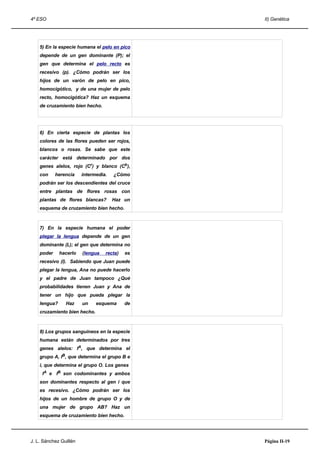 4º ESO                                          II) Genética




    5) En la especie humana el pelo en pico
    depende de un gen dominante (P); el
    gen que determina el pelo recto es
    recesivo (p). ¿Cómo podrán ser los
    hijos de un varón de pelo en pico,
    homocigótico, y de una mujer de pelo
    recto, homocigótica? Haz un esquema
    de cruzamiento bien hecho.




    6) En cierta especie de plantas los
    colores de las flores pueden ser rojos,
    blancos o rosas. Se sabe que este
    carácter está determinado por dos
    genes alelos, rojo (Cr) y blanco (Cb),
    con     herencia    intermedia.   ¿Cómo
    podrán ser los descendientes del cruce
    entre plantas de flores rosas con
    plantas de flores blancas?        Haz un
    esquema de cruzamiento bien hecho.



    7) En la especie humana el poder
    plegar la lengua depende de un gen
    dominante (L); el gen que determina no
    poder     hacerlo   (lengua   recta)   es
    recesivo (l). Sabiendo que Juan puede
    plegar la lengua, Ana no puede hacerlo
    y el padre de Juan tampoco ¿Qué
    probabilidades tienen Juan y Ana de
    tener un hijo que pueda plegar la
    lengua?     Haz     un    esquema      de
    cruzamiento bien hecho.



    8) Los grupos sanguíneos en la especie
    humana están determinados por tres
    genes alelos: IA, que determina el
    grupo A, IB, que determina el grupo B e
    i, que determina el grupo O. Los genes
     IA e IB son codominantes y ambos
    son dominantes respecto al gen i que
    es recesivo. ¿Cómo podrán ser los
    hijos de un hombre de grupo O y de
    una mujer de grupo AB? Haz un
    esquema de cruzamiento bien hecho.




J. L. Sánchez Guillén                           Página II-19
 