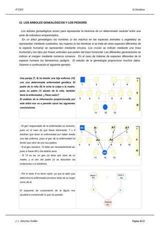 4º ESO                                                                                                                        II) Genética




   33. LOS ÁRBOLES GENEALÓGICOS Y LOS PEDIGRÍS


     Los árboles genealógicos sirven para representar la herencia de un determinado carácter entre una
   serie de individuos emparentados.
      En un árbol genealógico los hombres (o los machos en las especies animales o vegetales) se
   representan mediante cuadrados, las mujeres (o las hembras si se trata de otras especies diferentes de
   la especie humana) se representan mediante círculos. Los cruces se indican mediante una línea
   horizontal y los hijos por líneas verticales que parten del trazo horizontal. Las diferentes generaciones se
   indican al margen mediante números romanos. En el caso de tratarse de especies diferentes de la
   especie humana los llamaremos pedigrís.           El estudio de la genealogía proporciona muchos datos.
   Veamos a continuación el siguiente ejemplo:



    Una pareja (7, 8) ha tenido una hija enferma (12)
                                                                                                                                  II
    con una determinada enfermedad genética. El
                                                               1               2                      3              4
    padre de la niña (8) le echa la culpa a la madre,
    pues su padre (1) abuelo de la niña, también
                                                                                                                                   II
                                                                                                                                  II
    tiene la enfermedad. ¿Tiene razón?
    El análisis de la información proporcionada por        5        6              7              8           9          10

    este árbol nos va a permitir sacar las siguientes                                                                              III
                                                                                                                                  III
    conclusiones.

                                                                              11       12             13




    - El gen responsable de la enfermedad es recesivo,
                                                               aa           A-                    A?                 A?           II
    pues en el caso de que fuese dominante, 7 u 8
                                                               1              2                      3               4
    tendrían que tener la enfermedad por haber tenido
    una hija enferma, pues el gen de la enfermedad ha                                            Aa                               II
                                                                                                                                 II
                                                                               Aa
    tenido que venir de uno sus padres.
                                                           5        6              7             8           9           10
    - Si el gen recesivo, 12 debe ser necesariamente aa,
                                                                                                                                  III
                                                                                                                                 III
    pues si fuese AA o Aa estaría sana.
                                                                                       aa
    - Si 12 es aa, un gen (a) tiene que venir de su
                                                                              11       12             13
    madre, y el otro del padre (si se descartan las
    mutaciones o el adulterio).



    - Por lo tanto 8 no tiene razón, ya que el alelo que                                                   Padre 8
                                                                        Madre 7
    determina la enfermedad proviene tanto de su mujer                   Aa                                  Aa
    como de él.


    El esquema de cruzamiento de la figura nos                            a                                  a

    ayudará a comprender lo que ha pasado.

                                                                                        Enferma
                                                                                            aa




J. L. Sánchez Guillén                                                                                                         Página II-21
 