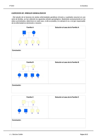 4º ESO                                                                                               II) Genética




   EJERCICIOS DE ÁRBOLES GENEALÓGICOS

    Del estudio de la herencia de ciertas enfermedades genéticas (círculos y cuadrados oscuros) en una
   serie de familias, se han obtenido los siguientes árboles genealógicos. Basándote exclusivamente en los
   datos suministrados, determinar en cada caso, si ello es posible y no siempre lo es, si el gen responsable
   de la enfermedad es dominante o recesivo.

                                Familia A                        Solución al caso de la Familia A




                        1                  2




               3            4          5       6


    Conclusión:




                                Familia B                        Solución al caso de la Familia B



                    1                     2




              3             4         5        6




    Conclusión:




                                Familia C                        Solución al caso de la Familia C



                    1                     2




              3             4         5        6




    Conclusión:




J. L. Sánchez Guillén                                                                                Página II-22
 