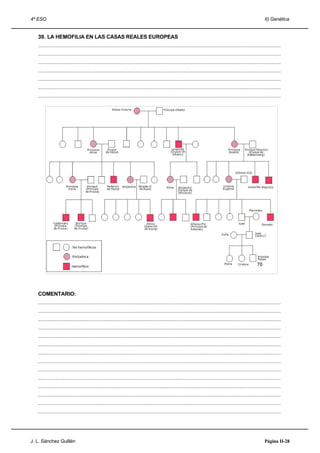 4º ESO                                                                                                                                                                     II) Genética


   39. LA HEMOFILIA EN LAS CASAS REALES EUROPEAS
   .....................................................................................................................................................................................
   .....................................................................................................................................................................................
   .....................................................................................................................................................................................
   .....................................................................................................................................................................................
   .....................................................................................................................................................................................
   .....................................................................................................................................................................................
   .....................................................................................................................................................................................




   COMENTARIO:
   .....................................................................................................................................................................................
   .....................................................................................................................................................................................
   .....................................................................................................................................................................................
   .....................................................................................................................................................................................
   .....................................................................................................................................................................................
   .....................................................................................................................................................................................
   .....................................................................................................................................................................................
   .....................................................................................................................................................................................
   .....................................................................................................................................................................................
   .....................................................................................................................................................................................
   .....................................................................................................................................................................................
   .....................................................................................................................................................................................
   .....................................................................................................................................................................................
   .....................................................................................................................................................................................




J. L. Sánchez Guillén                                                                                                                                                      Página II-28
 