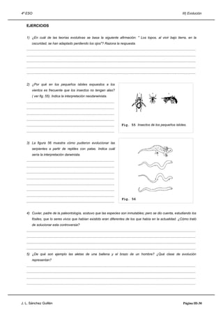 4º ESO                                                                                                                                                                   III) Evolución


   EJERCICIOS


   1) ¿En cuál de las teorías evolutivas se basa la siguiente afirmación: " Los topos, al vivir bajo tierra, en la
        oscuridad, se han adaptado perdiendo los ojos"? Razona la respuesta.
   .....................................................................................................................................................................................
   .....................................................................................................................................................................................
   .....................................................................................................................................................................................
   .....................................................................................................................................................................................
   .....................................................................................................................................................................................


   2) ¿Por qué en los pequeños islotes expuestos a los
        vientos es frecuente que los insectos no tengan alas?
        ( ver fig. 55). Indica la interpretación neodarwinista.
   ..............................................................................................
   ..............................................................................................
   ..............................................................................................
   ..............................................................................................
   ..............................................................................................       Fig. 55 Insectos de los pequeños islotes.
   ..............................................................................................


   3) La figura 56 muestra cómo pudieron evolucionar las
        serpientes a partir de reptiles con patas. Indica cuál
        sería la interpretación darwinista.
   ..............................................................................................
   ..............................................................................................
   ..............................................................................................
   ..............................................................................................
   ..............................................................................................
   ..............................................................................................
   ..............................................................................................
                                                                                                        Fig. 56
   ..............................................................................................


   4) Cuvier, padre de la paleontología, sostuvo que las especies son inmutables; pero se dio cuenta, estudiando los
        fósiles, que lo seres vivos que habían existido eran diferentes de los que había en la actualidad. ¿Cómo trató
        de solucionar esta controversia?
   .....................................................................................................................................................................................
   .....................................................................................................................................................................................
   .....................................................................................................................................................................................
   .....................................................................................................................................................................................
   5) ¿De qué son ejemplo las aletas de una ballena y el brazo de un hombre? ¿Qué clase de evolución
        representan?
   .....................................................................................................................................................................................
   .....................................................................................................................................................................................
   .....................................................................................................................................................................................
   .....................................................................................................................................................................................




J. L. Sánchez Guillén                                                                                                                                                     Página III-30
 