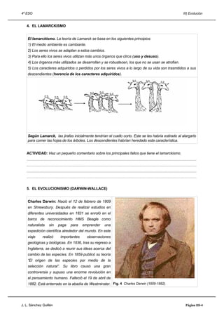 4º ESO                                                                                                                                                                   III) Evolución


   4. EL LAMARCKISMO


    El lamarckismo. La teoría de Lamarck se basa en los siguientes principios:
    1) El medio ambiente es cambiante.
    2) Los seres vivos se adaptan a estos cambios.
    3) Para ello los seres vivos utilizan más unos órganos que otros (uso y desuso).
    4) Los órganos más utilizados se desarrollan y se robustecen, los que no se usan se atrofian.
    5) Los caracteres adquiridos o perdidos por los seres vivos a lo largo de su vida son trasmitidos a sus
    descendientes (herencia de los caracteres adquiridos).




    Según Lamarck, las jirafas inicialmente tendrían el cuello corto. Este se les habría estirado al alargarlo
    para comer las hojas de los árboles. Los descendientes habrían heredado esta característica.


   ACTIVIDAD: Haz un pequeño comentario sobre los principales fallos que tiene el lamarckismo.
   .....................................................................................................................................................................................
   .....................................................................................................................................................................................
   .....................................................................................................................................................................................
   .....................................................................................................................................................................................


   5. EL EVOLUCIONISMO (DARWIN-WALLACE)


    Charles Darwin: Nació el 12 de febrero de 1809
    en Shrewsbury. Después de realizar estudios en
    diferentes universidades en 1831 se enroló en el
    barco de reconocimiento HMS Beagle como
    naturalista           sin       paga         para         emprender              una
    expedición científica alrededor del mundo. En este
    viaje          realizó            importantes                  observaciones
    geológicas y biológicas. En 1836, tras su regreso a
    Inglaterra, se dedicó a reunir sus ideas acerca del
    cambio de las especies. En 1859 publicó su teoría
    “El origen de las especies por medio de la
    selección natural”. Su libro causó una gran
    controversia y supuso una enorme revolución en
    el pensamiento humano. Falleció el 19 de abril de
    1882. Está enterrado en la abadía de Westminster. Fig. 4 Charles Darwin (1809-1882).




J. L. Sánchez Guillén                                                                                                                                                       Página III-4
 