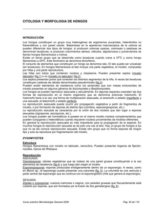 CITOLOGIA Y MORFOLOGIA DE HONGOS




INTRODUCCIÓN
Los hongos constituyen un grupo muy heterogéneo de organismos eucariotas, heterótrofos no
fotosintéticos y con pared celular. Basándose en la apariencia macroscópica de la colonia se
pueden diferenciar dos tipos de hongos: si producen colonias opacas, cremosas o pastosas se
denominan levaduras; si producen crecimientos aéreos, velludos, algodonosos o pulverulentos se
llaman hongos filamentosos o mohos.
Existe un tercer grupo que se desarrolla como levaduras cuando crece a 37ºC y como hongo
filamentoso a 25ºC. Este fenómeno se denomina dimorfismo.
El conjunto de elementos que constituyen un hongo se denomina talo. El talo puede ser unicelular
(en levaduras). En hongos filamentosos el talo incluye una parte vegetativa, el micelio, compuesto
por hifas y una parte reproductora.
Las hifas son tubos que contienen núcleos y citoplasma. Pueden presentar septos (micelio
tabicado) (fig.1) o no (micelio no tabicado) (fig.2).
Los septos presentan poros que conectan los distintos segmentos de la hifa. A veces las levaduras
constituyen cadenas de células denominadas pseudomicelio (fig.3).
Pueden existir elementos de resistencia como los esclerotes que son masas endurecidas de
micelio presentes en algunos géneros de Ascomycetes y Basidiomycetes.
Los hongos se pueden reproducir asexuada y sexualmente. En algunas especies coexisten las dos
formas de reproducción en el mismo organismo que se denomina entonces holomorfo. El
holomorfo tiene a la vez una forma de multiplicación asexuada, el anamorfo o estado imperfecto y
una sexuada, el teleomorfo o estado perfecto.
La reproducción asexuada puede ocurrir por propagación vegetativa a partir de fragmentos de
micelio, o por formación de esporas de distinto tipo (conidios, esporangiosporas, etc.).
La reproducción sexuada se caracteriza por la unión de dos núcleos que dan lugar a esporas
sexuadas (zigosporas, ascosporas, etc.).
Los hongos pueden ser homotálicos si poseen en el mismo micelio núcleos complementarios que
pueden conjugarse o heterotálicos cuando requieren núcleos provenientes de micelios diferentes.
En general la reproducción asexuada es más importante para la propagación de la especie. En
muchos hongos la reproducción sexuada se da solo una vez al año. Hay un grupo de hongos a los
que no se les conoce reproducción sexuada. Existe otro grupo que no forma esporas de ningún
tipo y solo se reproduce por fragmentación del micelio.

ZYGOMYCETES
Estructura
Hongos filamentosos con micelio no tabicado, cenocítico. Pueden presentar órganos de fijación:
rizoides, típicos de Rhizopus.

Reproducción
ASEXUADA:
Clamidosporas: células vegetativas que se rodean de una pared gruesa constituyendo a la vez
elementos de resistencia (fig.4) y que luego dan origen al micelio.
Esporangiosporas: esporas producidas endógenamente dentro de un esporangio. A veces, como
en Mucor sp., el esporangio puede presentar una columela (fig. 5). La columela es una vesícula o
parte central del esporangio que es continua con el esporangióforo (hifa que genera el esporangio).

SEXUADA:
Zigotes o zygosporas: cuerpos marrones o negros, con paredes gruesas que frecuentemente está
cubierto por espinas, que son formados por la fusión de dos gametangios (fig. 6).




Curso práctico Microbiología General 2009                                          Pág. 30 de 110
 