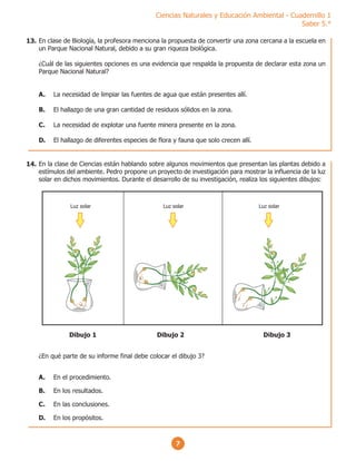 7
Ciencias Naturales y Educación Ambiental - Cuadernillo 1
Saber 5.°
En clase de Biología, la profesora menciona la propuesta de convertir una zona cercana a la escuela en
un Parque Nacional Natural, debido a su gran riqueza biológica.
¿Cuál de las siguientes opciones es una evidencia que respalda la propuesta de declarar esta zona un
Parque Nacional Natural?
A. La necesidad de limpiar las fuentes de agua que están presentes allí.
B. El hallazgo de una gran cantidad de residuos sólidos en la zona.
C. La necesidad de explotar una fuente minera presente en la zona.
D. El hallazgo de diferentes especies de flora y fauna que solo crecen allí.
En la clase de Ciencias están hablando sobre algunos movimientos que presentan las plantas debido a
estímulos del ambiente. Pedro propone un proyecto de investigación para mostrar la influencia de la luz
solar en dichos movimientos. Durante el desarrollo de su investigación, realiza los siguientes dibujos:
¿En qué parte de su informe final debe colocar el dibujo 3?
A. En el procedimiento.
B. En los resultados.
C. En las conclusiones.
D. En los propósitos.
Luz solar
Dibujo 1 Dibujo 2 Dibujo 3
Luz solar Luz solar
13.
14.
 