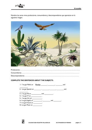 El Lazarillo
COLEGIO SAN AGUSTÍN VALLADOLID ACTIVIDADES DE VERANO página 11
Nombra los seres vivos productores, consumidores y descomponedores que aparezcan en la
siguiente imagen.
Productores:…………………………………………………………………………………………….
Consumidores:…………………………………………………………………………………………
Descomponedores:……………………………………………………………………………………
COMPLETE THE SENTENCES ABOUT THE SUBJECTS.
1- I´ve got Maths on Monday, _______, ________, ________ and
_________.
2- I,ve got Spanish on ________ , ________, _______, ________ and
_________.
3 - I´ve got PE on ___________ and __________.
4- I´ve got IT on ____________ .
5- I´ve got Art on ___________.
6- I´ve got English on __________, _________ and _________.
7- I´ve got French on __________.
8- I,ve got Music on __________.
 