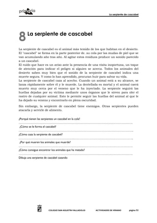 La serpiente de cascabel
COLEGIO SAN AGUSTÍN VALLADOLID ACTIVIDADES DE VERANO página 53
La serpiente de cascabel
La serpiente de cascabel es el animal más temido de los que habitan en el desierto.
El "cascabel" se forma en la parte posterior de. su cola por las mudas de piel que se
van acumulando año tras año. Al agitar estos residuos produce un sonido parecido
a un cascabel.
El ruido que hace es un aviso ante la presencia de una visita inoportuna, un toque
de atención para indicar el peligro si alguien se acerca. Todos los animales del
desierto saben muy bien que el sonido de la serpiente de cascabel indica una
muerte segura. Y como lo han aprendido, procuran huir para salvar su vida.
La serpiente de cascabel caza al acecho. Cuando un animal está a su alcance, se
lanza rápidamente sobre él y le muerde. La dentellada es mortal y el animal caerá
muerto muy cerca por el veneno que le ha inyectado. La serpiente seguirá las
huellas dejadas por su víctima mediante unos órganos que le sirven para oler el
rastro de cualquier animal. Esto le permite seguir las huellas del animal al que le
ha dejado su veneno y encontrarlo en plena oscuridad.
Sin embargo, la serpiente de cascabel tiene enemigos. Otras serpientes pueden
atacarla y servirle de alimento.
¿Porqué tienen las serpientes un cascabel en la cola?
……………………………………………………………………………………………………….
¿Cómo se le forma el cascabel?
………………………………………………………………………………………………………..
¿Cómo caza la serpiente de cascabel?
………………………………………………………………………………………………………..
¿Por qué mueren los animales que muerde?
……………………………………………………………………………………………………….
¿Cómo consigue encontrar los animales que ha matado?
……………………………………………………………………………………………………….
Dibuja una serpiente de cascabel cazando
8
 