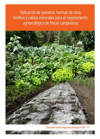 Cuadernillo Agroecológico Nº 11
Aplicación de quelatos, harinas de roca,
fosfitos y caldos minerales para el mejoramiento
agroecológico de fincas campesinas
 