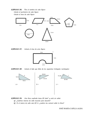 EJERCICIO 36: Pon el nombre de cada figura.
Calcula el perímetro de cada figura.
Calcula el área de cada figura.
EJERCICIO 37: Calcula el área de esta figura:
EJERCICIO 38: Calcula el lado que falta de los siguientes triángulos rectángulos.
EJERCICIO 39: Una finca cuadrada tiene 25 dam2
y está sin vallar.
a) ¿Cuántos metros de valla necesito para hacerlo?
b) Si el metro de valla vale 20 €, ¿cuánto me costará vallar la finca?
JOSÉ MARÍA CAPILLAALBA
 