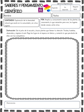 SABERESYPENSAMIENTO
CIENTÍFICO
Nombre: Fecha
Instrucción: Sal al patio de la escuela y busca plantas que llamen tu atención. Tócalas, huelelas,
observalas y regresa al aula. Pega las hojas en el espacio en blanco y comenta lo que percibiste de
ellas con tus compañeros.
Esperado En
desarrollo
Requiere
apoyo
CONTENIDO: Exploración de la diversidad
natural que existe en la comunidad y en otros
lugares.
Observaciones:
@mimundopreescolar
PDA: Amplía su conocimiento acerca de las plantas: su
crecimiento, lo que necesitan para vivir, los lugares
donde crecen, entre otros.
 