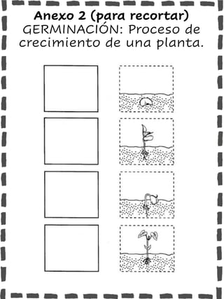 Anexo 2 (para recortar)
GERMINACIÓN: Proceso de
crecimiento de una planta.
 
