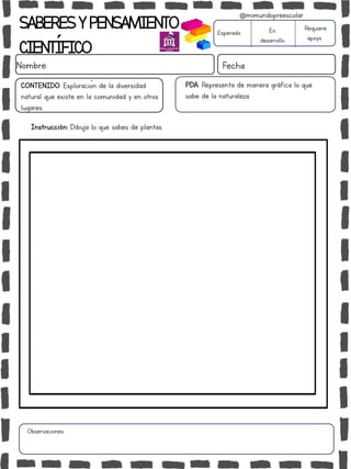 Instrucción: Dibuja lo que sabes de plantas.
Observaciones:
SABERESYPENSAMIENTO
CIENTÍFICO
Nombre: Fecha
Esperado En
desarrollo
Requiere
apoyo
CONTENIDO: Exploración de la diversidad
natural que existe en la comunidad y en otros
lugares.
@mimundopreescolar
PDA: Representa de manera gráfica lo que
sabe de la naturaleza.
 
