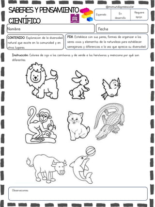 SABERESYPENSAMIENTO
CIENTÍFICO
Nombre: Fecha
Esperado En
desarrollo
Requiere
apoyo
CONTENIDO: Exploración de la diversidad
natural que existe en la comunidad y en
otros lugares.
Observaciones:
@mimundopreescolar
PDA: Establece con sus pares, formas de organizar a los
seres vivos y elementos de la naturaleza para establecer
semejanzas y diferencias a la vez que aprecia su diversidad.
Instrucción: Colorea de rojo a los carnívoros y de verde a los hervívoros y menciona por qué son
diferentes.
 