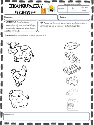 ÉTICA,NATURALEZAY
SOCIEDADES
Nombre: Fecha
PDA: Asocia los alimentos que consume con los animales o
plantas de los que provienen, y evita el desperdicio.
Instrucción: Une el animal con el producto que viene de él.
Esperado En
desarrollo
Requiere
apoyo
Observaciones:
@mimundopreescolar
CONTENIDO: Transformación
responsable del entorno al satisfacer
necesidades básicas de alimentación,
vestido y vivienda.
 