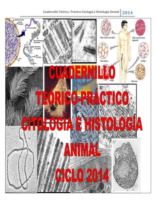 Cuadernillo Teórico- Práctico Citología e Histología Animal 2014
 