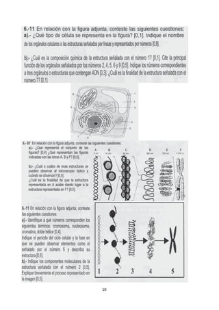 CUADERNILLO ACTIVIDADES DE CELULAS 21-22.pdf