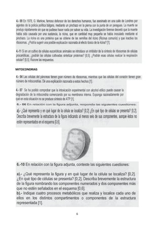 CUADERNILLO ACTIVIDADES DE CELULAS 21-22.pdf