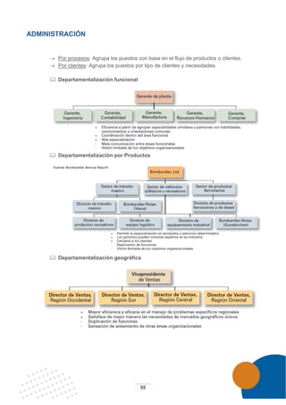 55
ADMINISTRACIÓN
→ Por procesos: Agrupa los puestos con base en el flujo de productos o clientes.
→ Por clientes: Agrupa los puestos por tipo de clientes y necesidades.
 Departamentalización funcional
 Departamentalización por Productos
 Departamentalización geográfica
 