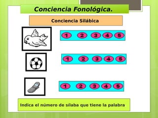 Cuadernillo de ejercicios para mejorar articulación y componentes del ...