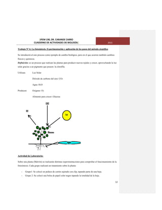[IPEM 190, DR. CARANDE CARRO
CUADERNO DE ACTIVIDADES DE BIOLOGÌA] 2015
12
Trabajo Nº 6: La fotosíntesis. Experimentación y aplicación de los pasos del método científico
Se introducirá al este proceso como ejemplo de cambio biológico, pero en el que ocurren también cambios
físicos y químicos.
Definición: es un proceso que realizan las plantas para producir nuevos tejidos y crecer, aprovechando la luz
solar gracias a un pigmento que poseen: la clorofila.
Utilizan: Luz Solar
Dióxido de carbono del aire: CO2
Agua: H2O
Producen: Oxígeno: O2
Alimento para crecer: Glucosa
Actividad de Laboratorio:
Sobre una planta (Malvón) se realizarán distintas experimentaciones para comprobar el funcionamiento de la
fotosíntesis. Cada grupo realizará un tratamiento sobre la planta:
- Grupo1: Se colocó un pedazo de cartón sujetado con clip, tapando parte de una hoja.
- Grupo 2: Se colocó una bolsa de papel color negro tapando la totalidad de la hoja.
 