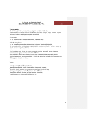 [IPEM 190, DR. CARANDE CARRO
CUADERNO DE ACTIVIDADES DE BIOLOGÌA] 2015
16
Cola de caballo:
Es diurético, depurativo, estomacal. Se usa la planta completa en infusión.
Externamente en cocimiento se usa en lavados para irritaciones de la piel, herpes, eczemas, llagas y
úlceras varicosas. Se le asignan propiedades astringentes.
Cambambú:
Es una planta cuya savia es usada para combatir el dolor de oídos.
Cola de quirquincho:
Es una hierba beneficiosa contra la impotencia. Afrodisíaco masculino y femenino.
Se recomienda utilizar con prudencia, preparar la planta completa en infusión y no hervir porque su
acción se vuelve purgante y abortiva
Hay infinidad de otras hierbas que crecen en nuestras serranías; además de las que podríamos
caracterizar como pertenecientes a la medicina folklórica.
Hay otras que se utilizan para usos tan variados como la pichana (para hacer escobas caseras),
el berro (para preparar apetitosas ensaladas) o la uvita del campo una frutita de color blanquecino muy
dulce y que es deleite de los niños.
Otras:
carqueja; carquejilla; tomillo; yerba buena;
manzanilla; palan-palan; cola de caballo; ajenjo; contrayerba; doradilla;
duraznillo; hinojo; lagaña de perro; mastuerzo; muna-muna; pezuña de vaca;
paico; pichana; quimpe; ruda macho; romero; salvia de la hora;
sanguinaria; toposaire; raíces de tasi; tripa de fraile; tramontana;
vita del campo; vira vira; yerba del pollo; poleo, etc.
 