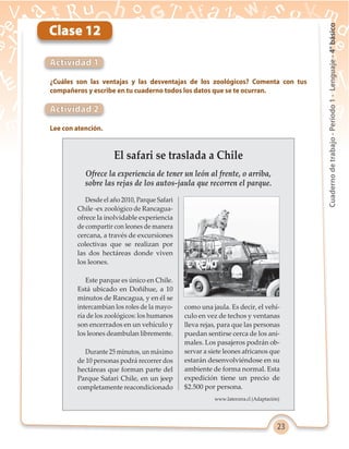 23
Cuadernodetrabajo-Período1-Lenguaje-4°básico
Actividad 1
Actividad 2
Clase 12
¿Cuáles son las ventajas y las desventajas de los zoológicos? Comenta con tus
compañeros y escribe en tu cuaderno todos los datos que se te ocurran.
Lee con atención.
El safari se traslada a Chile
Ofrece la experiencia de tener un león al frente, o arriba,
sobre las rejas de los autos-jaula que recorren el parque.
www.latercera.cl (Adaptación)
Desde el año 2010, Parque Safari
Chile -ex zoológico de Rancagua-
ofrece la inolvidable experiencia
de compartir con leones de manera
cercana, a través de excursiones
colectivas que se realizan por
las dos hectáreas donde viven
los leones.
Este parque es único en Chile.
Está ubicado en Doñihue, a 10
minutos de Rancagua, y en él se
intercambian los roles de la mayo-
ría de los zoológicos: los humanos
son encerrados en un vehículo y
los leones deambulan libremente.
Durante 25 minutos, un máximo
de 10 personas podrá recorrer dos
hectáreas que forman parte del
Parque Safari Chile, en un jeep
completamente reacondicionado
como una jaula. Es decir, el vehí-
culo en vez de techos y ventanas
lleva rejas, para que las personas
puedan sentirse cerca de los ani-
males. Los pasajeros podrán ob-
servar a siete leones africanos que
estarán desenvolviéndose en su
ambiente de forma normal. Esta
expedición tiene un precio de
$2.500 por persona.
 