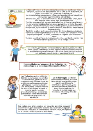 Lo hacen a través de la observación de las señales, que pueden ser físicas y
biológicas, las físicas son los avisos que dan la luna, el sol, las estrellas, el
viento y las nubes. Les comentaré, que observan:
Las fases de la luna, porque estas influyen en la producción de los cultivos,
estimulando la germinación o retrasándola.
En Luna llena, esta se encuentra rodeada de un arcoíris (halo lunar), es un
indicador que habrá lluvias pero que se retrasarán.
También observan el sol, que es una estrella y fuente de energía de la tierra.
Sí, hay un arcoíris rodeando al sol, saben que ya viene la lluvia. Observan
también las constelaciones; su brillo, cuando aparecen, sus movimientos y
desaparición, a partir de ello se predice; heladas, frecuencia e intensidadde
lluvias y sequías.
También, perciben la dirección, intensidad del viento. La presencia de aire
bien claro y cristalino predice que en el año va haber poco o nada de lluvia y
sequias prolongada. Las nubes, cuando están cargadas y oscuras lloverá
fuerte.
También consideran las señas biológicas, los avisos que dan las plantas ylos
animales sobre lo que ocurrirá con el tiempo y clima.
Los animales, perciben los cambios del tiempo. Las aves, sapos, insectos,
zorros yotros. Lashormigas cuandoesperan tiempos lluviososaumentan
su actividad y marchan en línea recta. El chihuaco es el que más se alegra
con las lluvias, cuando canta es seguro que lloverá.
Entonces ¿Cuáles son los aportes de los Yachachiqs y la
meteorología en el pronóstico del tiempo atmosférico?
Los Yachachiqs, y otros sabios de
distintas comunidades, nos brindan
su conocimiento, producto de su
experiencia en la observación de las
señales tantos físicas astronómicas
y biológicas, y su interpretación.
Ellos observan los cambios del ciclo
del agua, suelo, flora y fauna de su
entorno, que les permite
pronosticar el tiempo atmosférico,
para cada día tomar decisiones en
beneficio de la agricultura y
ganadería.
Los meteorólogos, aportan el
conocimiento científico, el uso de
la tecnología para la observación,
registro y análisis de la
información que recogen, y una
sistematización que permite ser
parte de una organización
mundial de meteorología que
monitorea el tiempo y clima del
planeta.
Este trabajo que ahora realizan en conjunto, permitirá compartir
conocimientos, para desarrollar acciones de prevención, mitigación,
preparación y respuesta en un sistema de alerta de riesgo, en especial
por el cambio climático que se va advirtiendo.
¿Cómo lo hacen?
 