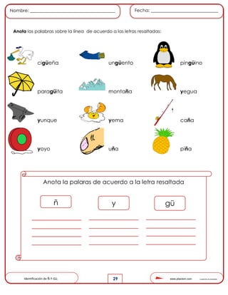 www.pliactom.com Cuadernillo de actividades
Nombre: ______________________________________ Fecha: ______________________________
29
Anota las palabras sobre la línea de acuerdo a las letras resaltadas:
cigüeña ungüento pingüino
paragüita montaña yegua
yunque yema caña
yoyo uña piña
Anota la palaras de acuerdo a la letra resaltada
ñ y gü
Identificación de Ñ-Y-Gü.
 