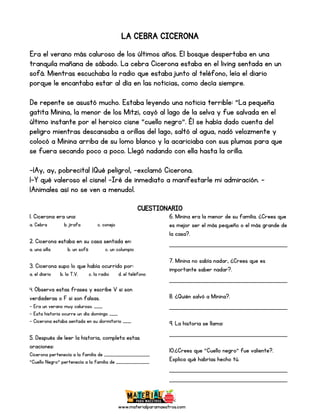 www.materialparamaestros.com
LA CEBRA CICERONA
Era el verano más caluroso de los últimos años. El bosque despertaba en una
tranquila mañana de sábado. La cebra Cicerona estaba en el living sentada en un
sofá. Mientras escuchaba la radio que estaba junto al teléfono, leía el diario
porque le encantaba estar al día en las noticias, como decía siempre.
De repente se asustó mucho. Estaba leyendo una noticia terrible: “La pequeña
gatita Minina, la menor de los Mitzi, cayó al lago de la selva y fue salvada en el
último instante por el heroico cisne “cuello negro”. Él se había dado cuenta del
peligro mientras descansaba a orillas del lago, saltó al agua, nadó velozmente y
colocó a Minina arriba de su lomo blanco y la acariciaba con sus plumas para que
se fuera secando poco a poco. Llegó nadando con ella hasta la orilla.
-¡Ay, ay, pobrecita! ¡Qué peligro!, -exclamó Cicerona.
¡-Y qué valeroso el cisne! –Iré de inmediato a manifestarle mi admiración. -
¡Animales así no se ven a menudo!.
CUESTIONARIO
1. Cicerona era una:
a. Cebra b. jirafa c. conejo
2. Cicerona estaba en su casa sentada en:
a. una silla b. un sofá c. un columpio
3. Cicerona supo lo que había ocurrido por:
a. el diario b. la T.V. c. la radio d. el teléfono
4. Observa estas frases y escribe V si son
verdaderas o F si son falsas.
- Era un verano muy caluroso. ____
- Esta historia ocurre un día domingo ____
- Cicerona estaba sentada en su dormitorio ____
5. Después de leer la historia, completa estas
oraciones:
Cicerona pertenecía a la familia de ______________________
“Cuello Negro” pertenecía a la familia de ________________
6. Minina era la menor de su familia. ¿Crees que
es mejor ser el más pequeño o el más grande de
la casa?.
_____________________________
7. Minina no sabía nadar, ¿Crees que es
importante saber nadar?.
_____________________________
8. ¿Quién salvó a Minina?.
_____________________________
9. La historia se llama:
_____________________________
10.¿Crees que “Cuello negro” fue valiente?.
Explica qué habrías hecho tú.
_____________________________
_____________________________
 