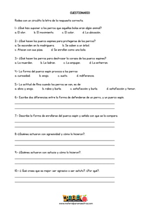 www.materialparamaestros.com
CUESTIONARIO
Rodea con un circulito la letra de la respuesta correcta.
1.- ¿Qué hizo suponer a los perros que aquellas bolas eran algún animal?
a. El olor. b. El movimiento. c. El color. d. La ubicación.
2.- ¿Qué hacen los puerco espines para protegerse de los perros?
a. Se esconden en la madriguera. b. Se suben a un árbol.
c. Atacan con sus púas. d. Se enrollan como una bola.
3.- ¿Qué hacen los perros para destrozar la coraza de los puerco espines?
a. La muerden. b. Le ladran. c. La empujan. d. La entierran.
4.- La forma del puerco espín provoca a los perros:
a. curiosidad. b. enojo. c. susto. d. indiferencia.
5.- La actitud de Rina cuando los perros se van, es de:
a. alivio y enojo. b. rabia y burla. c. satisfacción y burla. d. satisfacción y temor.
6.- Escribe dos diferencias entre la forma de defenderse de un perro, y un puerco espín.
_________________________________________________
_________________________________________________
7.- Describe la forma de enrollarse del puerco espín y señala con que se la compara.
_________________________________________________
_________________________________________________
8.-¿Quiénes actuaron con agresividad y cómo lo hicieron?.
_________________________________________________
_________________________________________________
9.- ¿Quiénes actuaron con astucia y cómo lo hicieron?.
_________________________________________________
_________________________________________________
10.- ¿ Qué crees que es mejor: ser agresivo o ser astuto?. ¿Por qué?.
_________________________________________________
_________________________________________________
 
