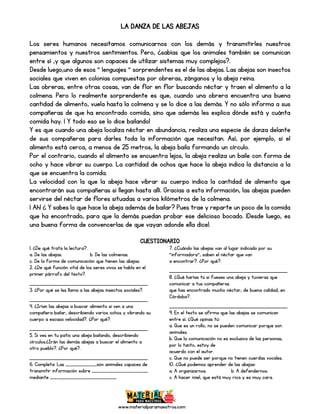 www.materialparamaestros.com
LA DANZA DE LAS ABEJAS
Los seres humanos necesitamos comunicarnos con los demás y transmitirles nuestros
pensamientos y nuestros sentimientos. Pero, ¿sabías que los animales también se comunican
entre sí ,y que algunos son capaces de utilizar sistemas muy complejos?.
Desde luego,uno de esos “ lenguajes “ sorprendentes es el de las abejas. Las abejas son insectos
sociales que viven en colonias compuestas por obreras, zánganos y la abeja reina.
Las obreras, entre otras cosas, van de flor en flor buscando néctar y traen el alimento a la
colmena. Pero lo realmente sorprendente es que, cuando una obrera encuentra una buena
cantidad de alimento, vuela hasta la colmena y se lo dice a las demás. Y no sólo informa a sus
compañeras de que ha encontrado comida, sino que además les explica dónde está y cuánta
comida hay. ¡ Y todo eso se lo dice bailando!
Y es que cuando una abeja localiza néctar en abundancia, realiza una especie de danza delante
de sus compañeras para darles toda la información que necesitan. Así, por ejemplo, si el
alimento está cerca, a menos de 25 metros, la abeja baila formando un círculo.
Por el contrario, cuando el alimento se encuentra lejos, la abeja realiza un baile con forma de
ocho y hace vibrar su cuerpo. La cantidad de ochos que hace la abeja indica la distancia a la
que se encuentra la comida.
La velocidad con la que la abeja hace vibrar su cuerpo indica la cantidad de alimento que
encontrarán sus compañeras si llegan hasta allí. Gracias a esta información, las abejas pueden
servirse del néctar de flores situadas a varios kilómetros de la colmena.
¡ Ah! ¿ Y sabes lo que hace la abeja además de bailar? Pues trae y reparte un poco de la comida
que ha encontrado, para que la demás puedan probar ese delicioso bocado. ¡Desde luego, es
una buena forma de convencerlas de que vayan adonde ella dice!.
CUESTIONARIO
1. ¿De qué trata la lectura?.
a. De las abejas. b. De las colmenas.
c. De la forma de comunicación que tienen las abejas.
2. ¿De qué función vital de los seres vivos se habla en el
primer párrafo del texto?.
_____________________________
3. ¿Por qué se les llama a las abejas insectos sociales?.
_____________________________
4. ¿Irían las abejas a buscar alimento si ven a una
compañera bailar, describiendo varios ochos y vibrando su
cuerpo a escasa velocidad?. ¿Por qué?.
_____________________________
5. Si ves en tu patio una abeja bailando, describiendo
círculos.¿Irán las demás abejas a buscar el alimento a
otro pueblo?. ¿Por qué?.
_____________________________
6. Completa: Las _______________son animales capaces de
transmitir información sobre ___________________________
mediante ________________________________
7. ¿Cuándo las abejas van al lugar indicado por su
“informadora“, saben el néctar que van
a encontrar?. ¿Por qué?.
_____________________________
8. ¿Qué harías tú si fueses una abeja y tuvieras que
comunicar a tus compañeras
que has encontrado mucho néctar, de buena calidad, en
Córdoba?.
_____________________________
9. En el texto se afirma que las abejas se comunican
entre sí. ¿Qué opinas tú:
a. Que es un rollo, no se pueden comunicar porque son
animales.
b. Que la comunicación no es exclusiva de las personas,
por lo tanto, estoy de
acuerdo con el autor.
c. Que no puede ser porque no tienen cuerdas vocales.
10. ¿Qué podemos aprender de las abejas:
a. A organizarnos. b. A defendernos.
c. A hacer miel, que está muy rica y es muy cara.
 