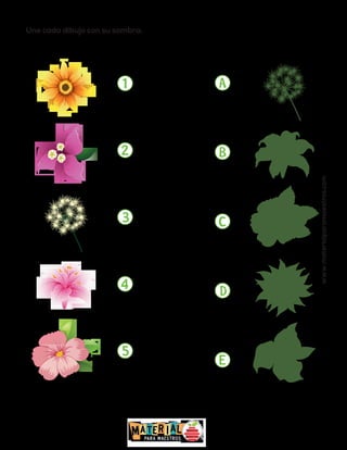 Une cada dibujo con su sombra.
www.materialparamaestros.com
 