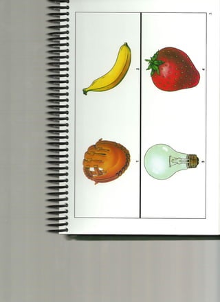 Cuadernillo de estimulos Wisc-IV Nº 01