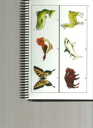 Cuadernillo de estimulos Wisc-IV Nº 01