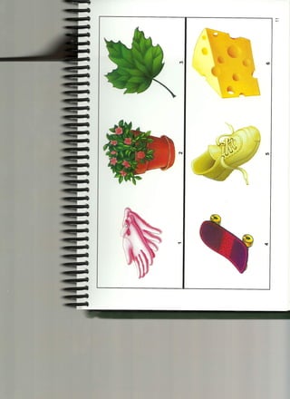 Cuadernillo de estimulos Wisc-IV Nº 01