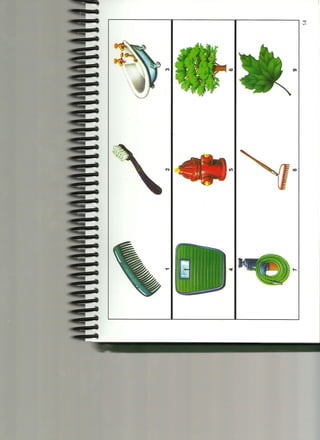 Cuadernillo de estimulos Wisc-IV Nº 01