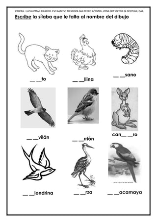 PROFRA. LUZ GUZMAN RICARDO. ESC.NARCISO MENDOZA SAN PEDRO APOSTOL, ZONA 007 SECTOR 24 OCOTLAN, OAX.
Escribe la sílaba que le falta al nombre del dibujo
__ __to __ __llina
__ __sano
__ __vilán __ __rrión
can__ __ro
__ __londrina __ __rza __ __acamaya
 
