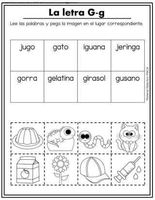 Lee las palabras y pega la imagen en el lugar correspondiente.
La letra G-g
jugo gato iguana jeringa
gorra gelatina girasol gusano
Material
Didáctico
MACA
© 2023 Material didáctico MaCa. MACA-3694 Licensed to cesdrasasaf@gmail.com
 