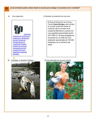 10        ¿Cuál actividad puedes realizar desde la escuela para proteger el ecosistema de tu localidad?




     A)      Una inspección.                          C) Declarar la protección de una zona.


                                                            El Área de Protección de la Flora y
                                                            Fauna Cuatrociénegas, está ubicada
                                                            en la parte central del estado de
                                                            Coahuila a 80 km al oeste de la
                                                            ciudad de Monclova y cuenta con
                                                            una superficie aproximada de 84,
                               Garantizar
              mediante las acciones de
                                                            347 4700 m2. El área protegida se
              inspección y verificación,                    encuentra en un valle con una
              que las Fuentes de                            extensión aproximada de 150 000
              Contaminación de                              hectáreas, es un terreno casi
              Jurisdicción Federal                          plano.
              realicen las acciones
              necesarias para dar
              cumplimiento de la
              legislación ambiental
              aplicable.



     B)    Investigar un desastre ecológico.            D) Uso adecuado de recursos natural.




                                                           17
 