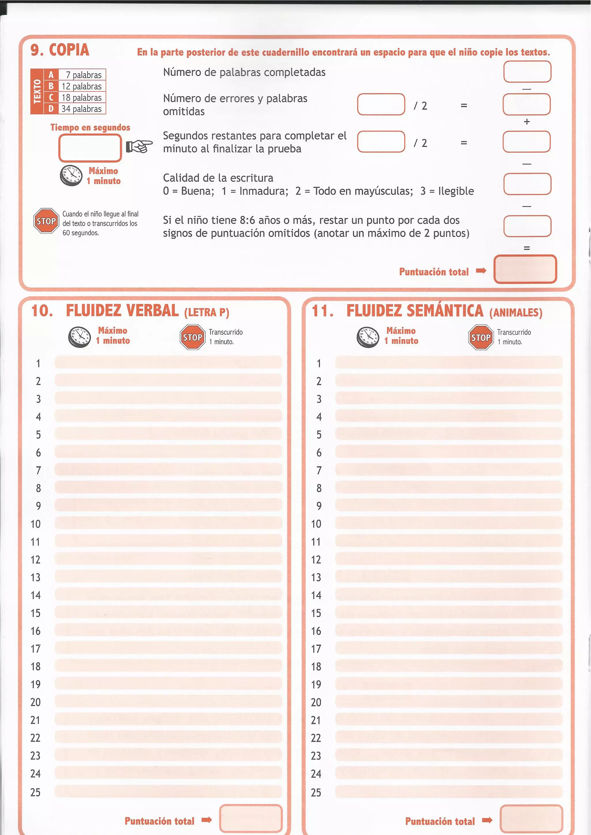 Dst Checklist.pdf Cuadernillo dst j | PDF