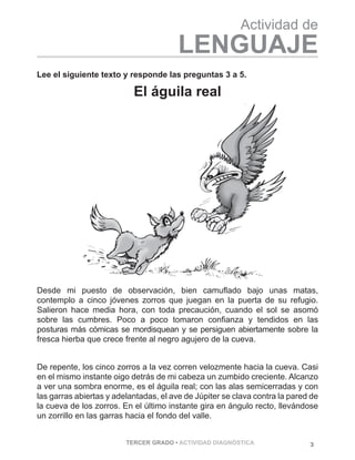 3TERCER GRADO • ACTIVIDAD DIAGNÓSTICA
Actividad de
LENGUAJE
El águila real
Desde mi puesto de observación, bien camuflado bajo unas matas,
contemplo a cinco jóvenes zorros que juegan en la puerta de su refugio.
Salieron hace media hora, con toda precaución, cuando el sol se asomó
sobre las cumbres. Poco a poco tomaron confianza y tendidos en las
posturas más cómicas se mordisquean y se persiguen abiertamente sobre la
fresca hierba que crece frente al negro agujero de la cueva.			
De repente, los cinco zorros a la vez corren velozmente hacia la cueva. Casi
en el mismo instante oigo detrás de mi cabeza un zumbido creciente. Alcanzo
a ver una sombra enorme, es el águila real; con las alas semicerradas y con
las garras abiertas y adelantadas, el ave de Júpiter se clava contra la pared de
la cueva de los zorros. En el último instante gira en ángulo recto, llevándose
un zorrillo en las garras hacia el fondo del valle.
Lee el siguiente texto y responde las preguntas 3 a 5.
 