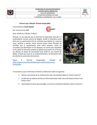SECRETARIA DE EDUCACION BOGOTA
COLEGIO SANTA LIBRADA IED
Página 14 de
17
GUIA DE APRENDIZAJE
ESTRATEGIA APRENDE EN CASA
CUADERNILLO SEMANA DEL 1 AL 5 JUNIO
· Cine en casa. Película: Vecinos Inesperados
Transmitida por Canal Capital
Día: 5 de junio de 2020
Hora: 10:00 am, 4:00 pm, 9:00 pm
Sinopsis: es una película que le permitirá al espectador descubrir el
sorprendente mundo natural de Bogotá. Desde la dramática lucha
diaria por la supervivencia de los animales que habitan en nuestras
casas, jardines y barrios, hasta escenas jamás antes filmadas de
animales que ni sospechamos viven entre nosotros: como los
cusumbos que deambulan en los bosques, los zorros que merodean
en las calles en busca de comida, las águilas que pescan en el Parque
Los Novios, la pareja de alcaravanes que anida en una cancha de
fútbol, el búho que caza en un estacionamiento o el fascinante ciclo
de vida de los cucarrones de invierno.
Figura 8. Vecinos inesperados. Tomada de:
https://www.cinematecadebogota.gov.co/pelicula/vecinos-
inesperados
Te invitamos a que la disfrutes en familia y reflexionen sobre lo siguiente:
1. ¿Somos conscientes de la existencia de toda esta biodiversidad en nuestro entorno?
2. ¿Cuáles de las especies de fauna y flora observadas están cerca de donde vivimos? ¿las
hemos visto?
3. ¿Qué podemos hacer para proteger y conservar la biodiversidad de nuestro territorio?
 