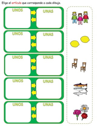 Elige el artículo que corresponde a cada dibujo.
 