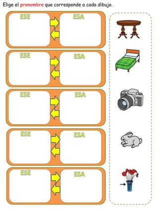 Elige el pronombre que corresponde a cada dibujo.
 
