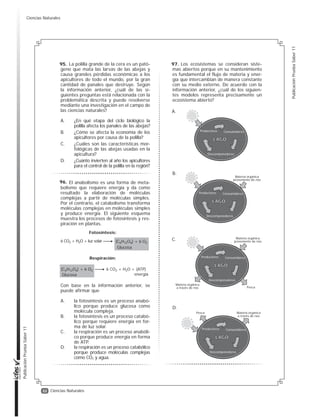 31
Publicación
Prueba
Saber
11
Publicación
Prueba
Saber
11
Ciencias Naturales
Un investigador somete dos grupos
de ratones a las condiciones que muestra
la tabla.
Él quiere evaluar la capacidad que tienen
estos dos grupos de ratones de recordar
un lugar, guiados por objetos ubicados en
el espacio. Para esto mete los ratones de
cada grupo en un tanque con agua durante
un minuto por 7 días consecutivos, para
que encuentren un recipiente transparente
que flota en el tanque y que está señaliza-
do con un triángulo en la pared.
El último día registra la trayectoria que reco-
rre cada ratón, como se muestra en la figura.
De acuerdo con el experimento, ¿por qué
los ratones del grupo 1 ubicaron tan fácil-
mente el recipiente?
A. Porque el triángulo los guió hasta el
recipiente.
B. Porque nadaron más rápido que los
ratones del grupo 2.
C. Porque permanecieron más tiempo
en el tanque que los ratones del
grupo 2.
D. Porque el ejercicio mejoró su capaci-
dad de memorizar.
Grupo 1
En ejercicio durante un mes antes
del experimento.
Sin ejercicio durante un mes
antes del experimento.
Grupo 2
Ratón del grupo 1
Ratón del grupo 2
Objeto
en la pared
Recipiente
que flota
Trayectoria
del ratón
El objetivo de una práctica es la detec-
ción de almidón en la papa, utilizando el
lugol como colorante. Se realizan cuatro
experimentos con las condiciones que se
muestran en la tabla.
En esta práctica, el experimento 4 es im-
portante porque
A. permite que el almidón se encuentre
soluble.
B. contiene el colorante con el cual se
logra la detección de almidón.
C. contiene más almidón que el que
contiene la papa.
D. permite establecer el color esperado
para la detección de almidón.
Experimento Agua
(mL)
Lugol
(mL)
Papa
(g)
Solución
de
almidón
10% (mL)
1 10 1 10 0
2 10 1 0 0
3 10 0 5 0
4 10 1 0 2
En una especie de pato se pueden en-
contrar individuos con cuello corto e indivi-
duos con cuello largo. En esta especie se
encuentran una mayor cantidad de patos
con cuello largo. En un experimento se
aparearon una hembra y un macho de cue-
llo largo; de sus hijos 3/4 son de cuello lar-
go y 1/4 son de cuello corto.
De los genotipos de los padres puede
afirmarse que
A. ambos padres eran heterocigotos.
B. el macho era heterocigoto y la hem-
bra era homocigoto recesivo.
C. el macho era heterocigoto y la hem-
bra era homocigoto dominante.
D. ambos padres eran homocigotos
dominantes.
92. 93.
94.
Ciencias Naturales
 