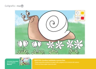 OBJETIVO: Coordinar habilidades motrices finas
- Rasga pequeños pedazos de papel café y pégalos en la concha del caracol.
- Pinta las flores según clave de color.
Actividad disponible
en el cuaderno
Balancín
 